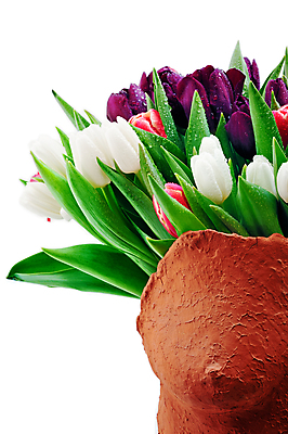 포토 JPG 해외이미지 꽃 선물 사랑 사람없음 장식 봄 튤립 꽃집 고립 해외202004 해외포토 식물 계절 감정 상점 파일형식 이미지허브