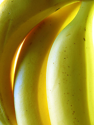 포토 JPG 해외이미지 음식 다이어트 과일 디저트 바나나 건강 사람없음 노란색 신선 다발 먹기 고립 식용 해외202004 해외포토 컬러 모션 파일형식 이미지허브