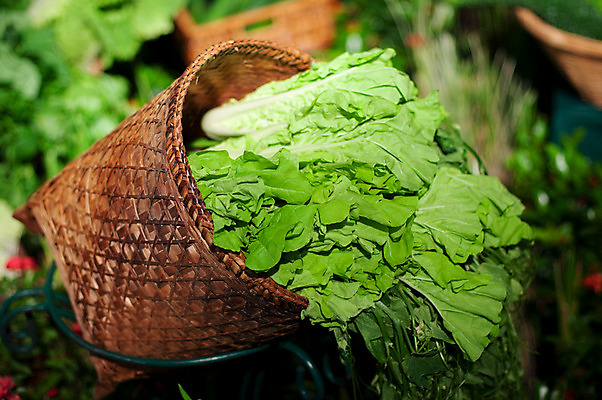 포토 JPG 해외이미지 아시아 음식 채소 재료 태국 자연 요리 사람없음 초록색 저녁식사 상추 내추럴 점심식사 해외202004 해외포토 나라 컬러 식사 생태계 파일형식 이미지허브