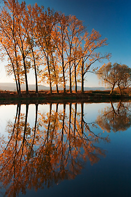포토 JPG 해외이미지 나무 계절 단풍 잎 자연 하늘 사람없음 야외 초록색 물 강 햇빛 태양 반사 노란색 활발 가을 황금 숲 언덕 장면 암초 내추럴 대칭 해외202004 해외포토 자연요소 식물 컬러 컨셉 생태계 파일형식 이미지허브
