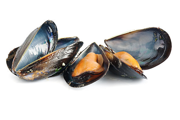 포토 JPG 해외이미지 음식 바다 백그라운드 다이어트 채소 오렌지 조개 연체동물 파슬리 건강 마늘 어류 요리 사람없음 식당 식사 껍질 흰색 신선 맛 지중해 먹기 허브 해산물 홍합 점심식사 고립 단백질 삶기 해외202004 해외포토 식물 컬러 컨셉 과일 모션 어패류 무척추동물 상점 수중동물 영양소 파일형식 이미지허브