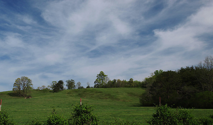 포토 JPG 해외이미지 나무 밭 농업 자연 하늘 풍경 사람없음 초록색 농장 시골 땅 밭일 해외202004 해외포토 식물 산업 컬러 생태계 파일형식 이미지허브