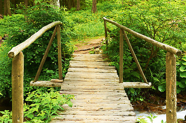 포토 JPG 해외이미지 나무 공원 여행 잎 자국 모션 자연 산 이끼 풍경 사람없음 야외 목재 초록색 물 여름 강 봄 폭포 젖음 흐름 바위 나뭇가지 신선 개울 떨어짐 숲 오솔길 순수 시트 내추럴 해외202004 해외포토 자연요소 식물 계절 공공시설 길 컬러 컨셉 재료 돌_바위 생태계 파일형식 이미지허브