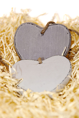 포토 JPG 해외이미지 모양 커플 계절 행복 밧줄 줄 결혼 컨셉 2 자연 추상 휴가 함께함 발렌타인데이 사랑 사람없음 목재 장식 우주 공백 회색 수확 흰색 하트 둥지 편안함 쌍둥이 심볼 사인 매듭 노끈 밀짚 고립 돌봄 카피스페이스 해외202004 해외포토 나무 감정 컬러 무늬 농업 재료 가족 관계 모션 데이이벤트 이벤트 감각 짚 생태계 파일형식 이미지허브