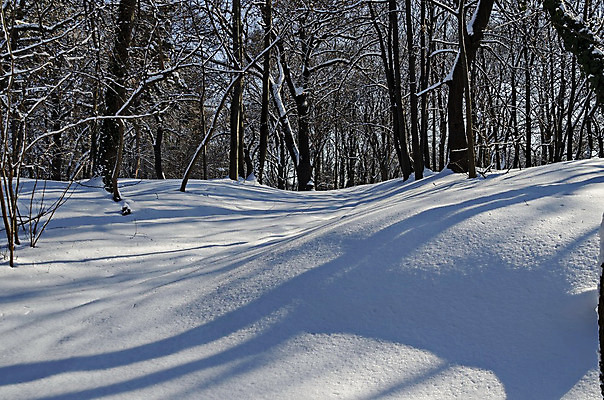 포토 JPG 해외이미지 나무 식물 계절 공원 백그라운드 겨울 자연 날씨 그림자 풍경 사람없음 야외 냉동 얼음 검은색 하이킹 추위 덮개 흰색 숲 시원함 서리 장면 부드러움 흐림 내추럴 불가리아 눈내림 해외202004 해외포토 자연요소 공공시설 컬러 레저 눈_날씨 뚜껑 감각 생태계 파일형식 남유럽 이미지허브