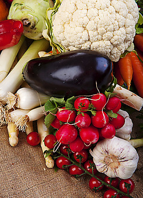 포토 JPG 해외이미지 음식 백그라운드 농업 다이어트 토마토 채소 재료 자연 가지 양파 건강 마늘 사람없음 초록색 상점 당근 샐러드 종 신선 시장 수집 배열 유기농 양배추 아스파라거스 날것 부추 후추 모음 흙더미 강렬 채식주의자 총각무 콜라비 회향 해외202004 해외포토 식물 웰빙 산업 컬러 뿌리채소 한글 흙 무 향신료 생태계 채식 파일형식 더미 이미지허브