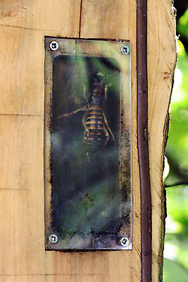 포토 JPG 해외이미지 공원 야생동물 곤충 새로움 장화 사람없음 벌레 보호 큼 지역 보호구역 전국 해외202004 해외포토 동물 공공시설 신발 컨셉 크기 구역 파일형식 이미지허브