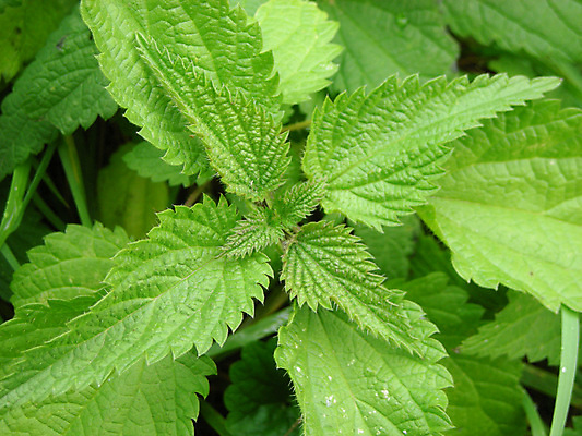 포토 JPG 해외이미지 사람없음 해외202004 해외포토 파일형식 이미지허브