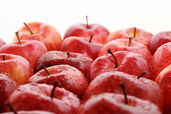 포토 JPG 해외이미지 라이프스타일 음료 음식 줄기 백그라운드 잎 패턴 다이어트 채소 과일 자연 건강 사람없음 빨간색 초록색 흰색 신선 그룹 맛 떨어짐 사과 큼 유혹 먹기 오브젝트 싱글 유기농 멀리 흙더미 내추럴 고립 대장장이 멀티 채식주의자 많음 해외202004 해외포토 식물 웰빙 컬러 컨셉 무늬 모션 생활 흙 크기 생태계 채식 파일형식 더미 이미지허브