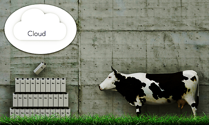 포토 JPG 해외이미지 구름 이동 인터넷 비즈니스 포장 자연 사람없음 농장 우유 소 패키지 수납 해외202004 해외포토 자연요소 컨셉 농업 포유류 유제품 생태계 파일형식 이미지허브