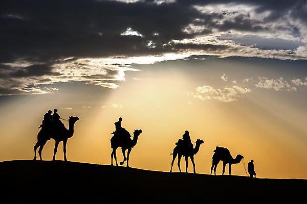 포토 JPG 해외이미지 동물 구름 전통 실루엣 아시아 문화 모래 여행 자국 자연 하늘 안내 사람 풍경 사람없음 빛 햇빛 태양 일출 황혼 일몰 새벽 산책 사막 광선 그룹 황금 승차 모래언덕 코 장면 낙타 파열 줄서기 카라반 해외202004 해외포토 자연요소 나라 포유류 모션 휴식 촬영기법 신체부위 노을 언덕 생태계 캠핑카 파일형식 이미지허브