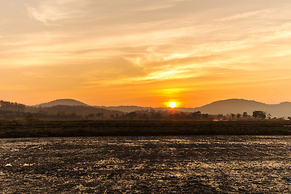 포토 JPG 해외이미지 구름 여행 밭 자연 하늘 아침 산 풍경 사람없음 야외 초록색 여름 일출 환경 계곡 새벽 안개 언덕 내추럴 절정 해외202004 해외포토 주간 자연요소 계절 컬러 농업 날씨 노을 생태계 파일형식 이미지허브