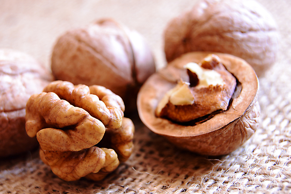 포토 JPG 해외이미지 음식 백그라운드 다이어트 재료 자연 건강 사람없음 갈색 노란색 어둠 견과류 껍질 가을 직물 신선 오픈 그룹 닫기 맛 아침식사 먹기 삼베 오브젝트 유기농 질감 알맹이 호두 내추럴 옛날 해외202004 해외포토 웰빙 계절 컬러 컨셉 모션 식사 생태계 파일형식 천_직물 이미지허브