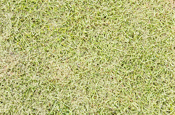 포토 JPG 해외이미지 밭 농업 건조 풍경 사람없음 야외 옆모습 초록색 여름 농장 농경지 환경 시골 볏짚 자르기 트랙터 밭일 해외202004 해외포토 계절 산업 뷰포인트 컬러 모션 짚 농기계 특수차량 파일형식 이미지허브