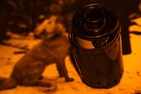 포토 JPG 해외이미지 전통 디자인 배너 공원 종이 도로 백그라운드 신발 사슴 프레임 창조 사랑 가면 미술 사람없음 사진촬영 소리 공백 추위 프랑스 오토바이 수확 얼룩 가장자리 필름 향수 오브젝트 그림 질감 윤곽 과거 슛 아날로그 고립 부정적 순간 엘리먼트 옛날 해외202004 해외포토 공공시설 감정 유럽 길 컨셉 농업 포유류 교통시설 문화예술 바이크 촬영 화장품 둘레 파일형식 이미지허브