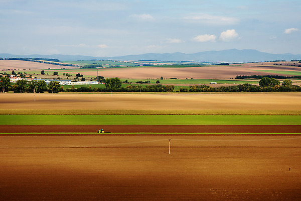 포토 JPG 해외이미지 나무 구름 계절 산업 도로 지구 밭 농업 자연 하늘 날씨 풍경 사람없음 야외 초록색 여름 농장 농경지 갈색 환경 힘 기계 흙 봄 장비 운전 수확 가을 시골 업무 농부 땅 먼지 트랙터 밭일 쟁기 해외202004 해외포토 자연요소 식물 직업 길 컬러 교통시설 모션 작업 농기계 생태계 특수차량 파일형식 이미지허브