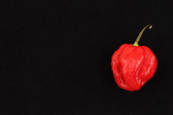 포토 JPG 해외이미지 줄기 재료 고추 사람없음 빨간색 뜨거움 피부 매움 후추 식용 해외202004 해외포토 식물 컬러 채소 신체부위 맛 향신료 파일형식 이미지허브