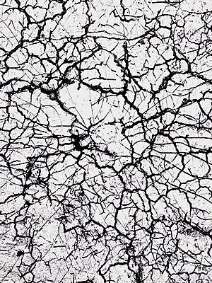 포토 JPG 해외이미지 디자인 배너 포스터 종이 벽 백그라운드 패턴 벽지 추상 프레임 창조 사람없음 장식 빛 컬러풀 우주 어둠 페인트 공백 수확 골동품 흰색 얼룩 그리기 균열 우아함 편지 고민 질감 복고 역동적 내추럴 그런지 양피지 엘리먼트 옛날 회복 효과 해외202004 해외포토 감정 컬러 컨셉 무늬 농업 모션 파일형식 이미지허브