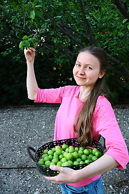 포토 JPG 해외이미지 나무 여자 음식 농업 과일 자연 주택 건강 한명 사람 성인 야외 초록색 농장 정원 모임 수확 가을 시골 신선 업무 농부 과수원 수집 자두 밭일 해외202004 해외포토 식물 직업 1 계절 산업 컬러 건물 작업 생태계 파일형식 이미지허브