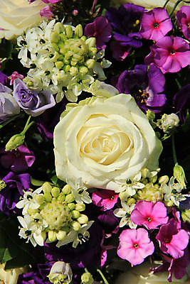 포토 JPG 해외이미지 식물 꽃잎 꽃 분홍색 꽃다발 결혼 백그라운드 자연 결혼식 사랑 사람없음 장식 초록색 장미 보라색 흰색 그룹 배열 해외202004 해외포토 감정 컬러 이벤트 생태계 파일형식 이미지허브