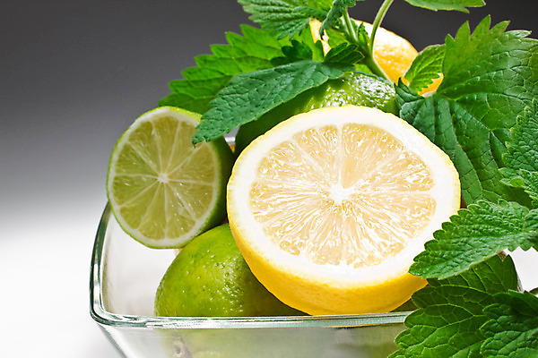 포토 JPG 해외이미지 접시 음식 잎 다이어트 채소 과일 재료 유리 귤 건강 사람없음 초록색 쌓기 흰색 신선 맛 시원함 먹기 레몬 민트 허브 라임 내추럴 고립 모히토 해외202004 해외포토 식물 식기 컬러 컨셉 모션 재질 칵테일 파일형식 이미지허브