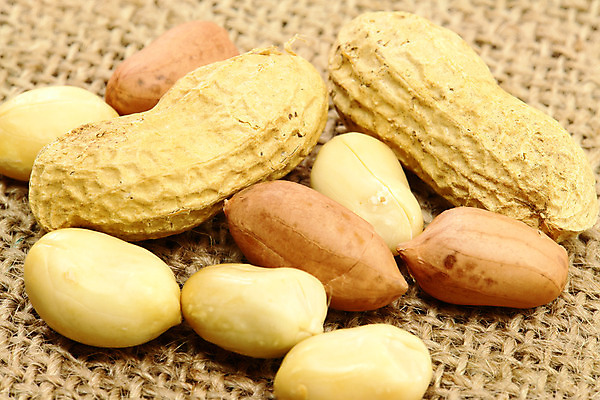 포토 JPG 해외이미지 음식 농업 과일 재료 자연 건조 건강 사람없음 갈색 쌓기 견과류 껍질 가을 그룹 맛 먹기 삼베 유기농 날것 땅콩 자루 내추럴 해외202004 해외포토 웰빙 계절 산업 컬러 컨셉 모션 생태계 파일형식 천_직물 이미지허브