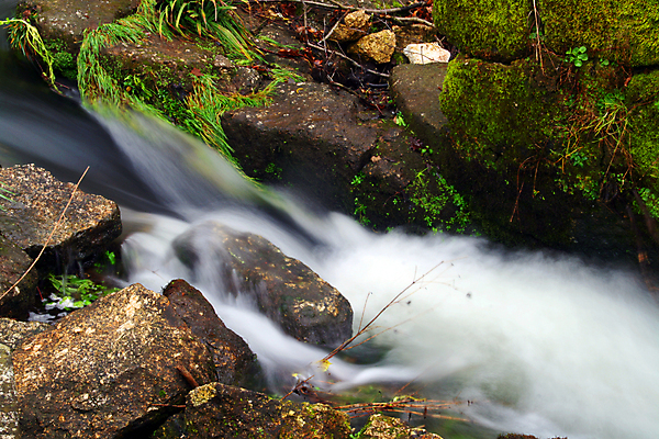 포토 JPG 해외이미지 공원 잎 자연 이끼 풍경 사람없음 물 강 노란색 폭포 가을 개울 숲 포르투갈 암초 해외202004 해외포토 자연요소 식물 계절 공공시설 유럽 컬러 생태계 파일형식 이미지허브