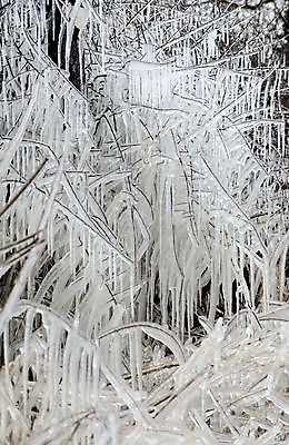 포토 JPG 해외이미지 겨울 날씨 영국 잉글랜드 매달리기 사람없음 야외 물 냉동 얼음 추위 시원함 고드름 해외202004 해외포토 자연요소 계절 유럽 모션 파일형식 이미지허브