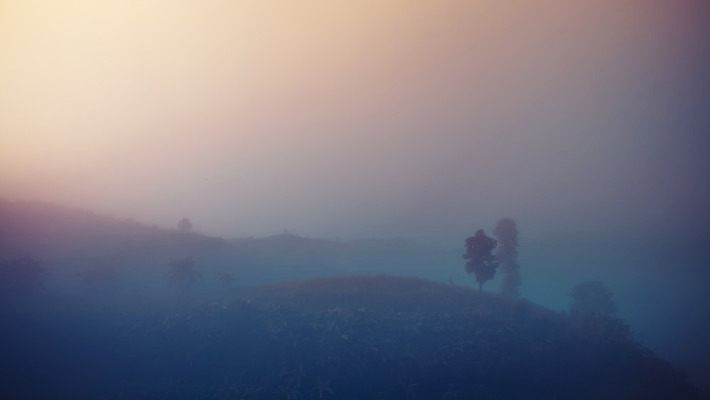 포토 JPG 해외이미지 나무 구름 공원 여행 백그라운드 잎 자연 하늘 아침 산 풍경 사람없음 야외 초록색 일출 환경 일몰 새벽 안개 숲 공상 내추럴 뿌연 전국 절정 해외202004 해외포토 주간 자연요소 식물 공공시설 컬러 날씨 노을 생태계 파일형식 이미지허브