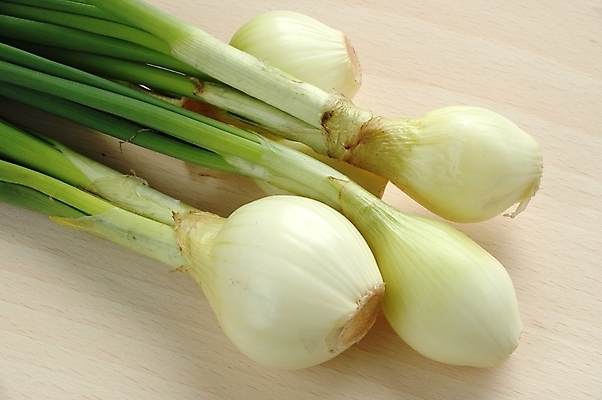 포토 JPG 해외이미지 음식 다이어트 채소 양파 요리 사람없음 초록색 주방 먹기 해외202004 해외포토 컬러 모션 건강 파일형식 이미지허브