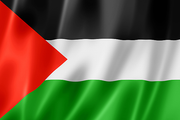 포토 JPG 해외이미지 디자인 배너 아시아 물결 백그라운드 컨셉 곡선 일러스트 바람 사람없음 빨간색 초록색 빛 세계 3D 검은색 흰색 깃발 직물 국기 실크 심볼 질감 애국심 휘장 잔물결 전국 접기 팔레스타인 해외202004 해외포토 자연요소 나라 선 컬러 중동 모션 날씨 디지털합성 파일형식 이미지허브