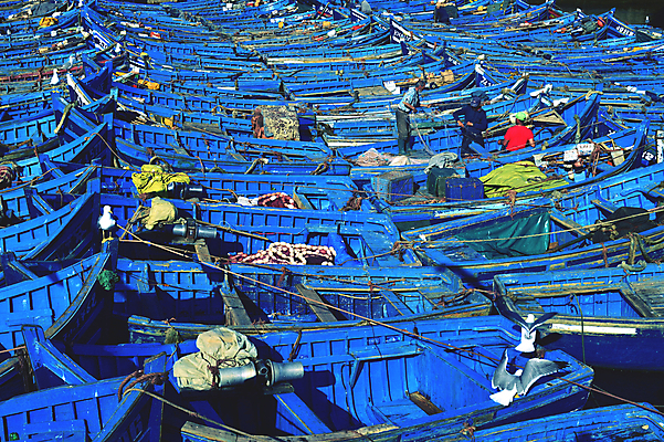 포토 JPG 해외이미지 전통 문화 밧줄 바다 여행 백그라운드 교통시설 아프리카 낚시 어류 사람없음 야외 목재 물 여름 파란색 컬러풀 항구 도시 업무 보트 코드 방파제 함선 낚시꾼 포트 닻 모로코 단상 대서양 메디나 아랍어 해외202004 해외포토 자연요소 나무 계절 공공시설 나라 줄 컬러 교통 배_교통 재료 레저 수중동물 작업 시설 파일형식 이미지허브