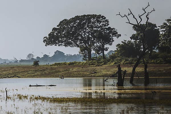 포토 JPG 해외이미지 나무 동물 공원 아시아 호수 야생동물 여행 백그라운드 밭 아프리카 자연 하늘 휴가 코끼리 산 동양인 풍경 사람없음 초록색 물 파란색 강 환경 운전 수확 게임 황무지 보호 숲 사파리 언덕 그림 내추럴 전국 해외202004 해외포토 자연요소 식물 공공시설 나라 컬러 컨셉 농업 포유류 모션 놀이 인종 생태계 파일형식 이미지허브