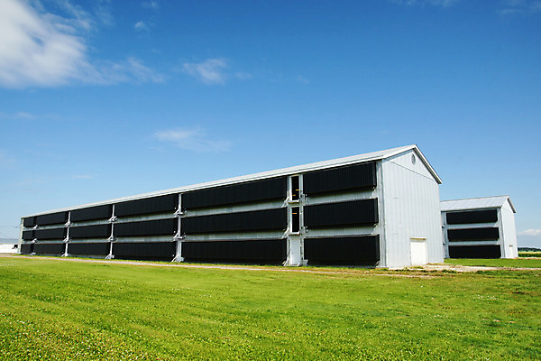 포토 JPG 해외이미지 동물 외관 산업 음식 건축양식 자연 조류 육류 사람없음 야외 건물 농장 치킨 시골 큼 상업 새장 외양간 기르기 철강 많음 해외202004 해외포토 건축물 건축 컨셉 농업 식재료 크기 생태계 닭고기요리 돌봄 케이지 파일형식 이미지허브