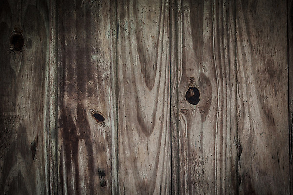 포토 JPG 해외이미지 나무 디자인 백그라운드 패턴 벽지 추상 사람없음 목재 갈색 질감 해외202004 해외포토 식물 컬러 무늬 재료 파일형식 이미지허브