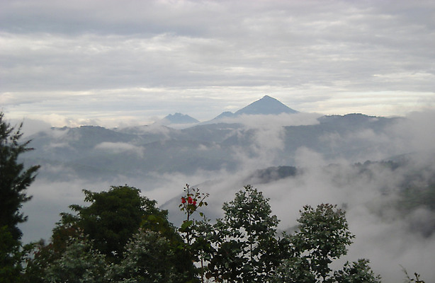 포토 JPG 해외이미지 아프리카 자연 하늘 산 풍경 사람없음 르완다 해외202004 해외포토 나라 생태계 파일형식 이미지허브