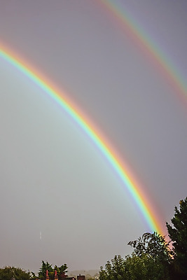 포토 JPG 해외이미지 나무 구름 백그라운드 무지개 자연 하늘 날씨 추상 풍경 사람없음 야외 파란색 빛 컬러풀 햇빛 안개 시골 쌍 큼 호기심 더블 마다가스카르 뿌연 스펙트럼 수평선 해외202004 해외포토 자연요소 식물 감정 컬러 컨셉 무늬 태양 크기 생태계 파일형식 이미지허브