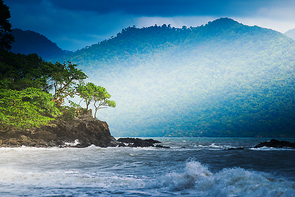 포토 JPG 해외이미지 주간 나무 해외풍경 바다 산 사람없음 야외 미국 캘리포니아 해외202004 해외포토 자연요소 식물 해외 북아메리카 풍경 파일형식 이미지허브