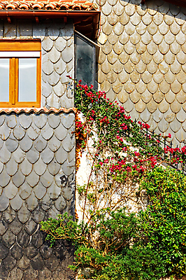 포토 JPG 해외이미지 꽃 유럽 건축양식 주택 사람없음 건물 마을 정원 봄 수확 바위 스페인 시골집 복고 타운 석판 옛날 해외202004 해외포토 식물 건축물 계절 건축 나라 농업 돌_바위 도시 파일형식 이미지허브