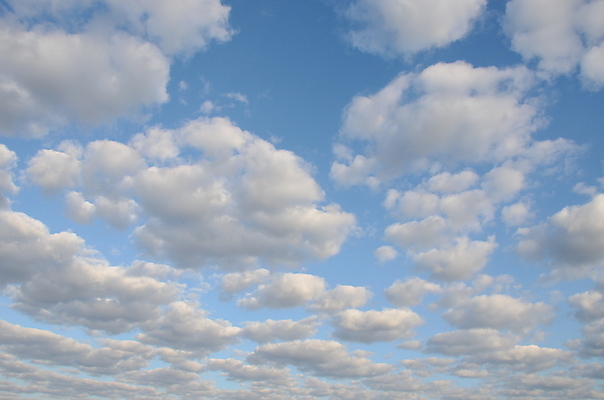 포토 JPG 해외이미지 구름 계절 하늘색 백그라운드 자연 하늘 날씨 풍경 사람없음 야외 여름 파란색 빛 햇빛 태양 환경 맑음 봄 흰색 분위기 수분 천국 흐림 해외202004 해외포토 자연요소 컬러 컨셉 생태계 파일형식 이미지허브