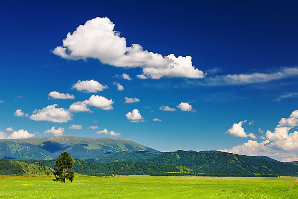 포토 JPG 해외이미지 나무 구름 밭 자연 하늘 산 풍경 사람없음 초록색 여름 파란색 빛 햇빛 환경 맑음 침묵 고요 소나무 숲 언덕 생태학 시베리아 해외202004 해외포토 자연요소 식물 계절 교육 컬러 농업 날씨 태양 소리 생태계 파일형식 이미지허브