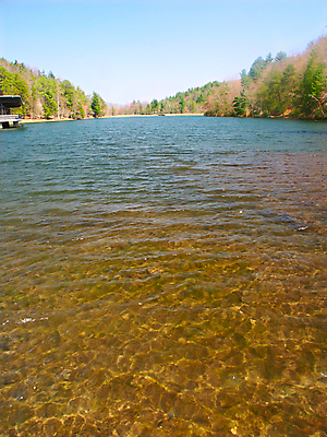 포토 JPG 해외이미지 공원 호수 물결 파도 자연 풍경 사람없음 야외 물 환경 맑음 미국 연못 황무지 보호 생태계 생물학 장면 서식지 내추럴 생태학 조지아 해외202004 해외포토 자연요소 공공시설 교육 바다 컨셉 북아메리카 날씨 동유럽 파일형식 이미지허브