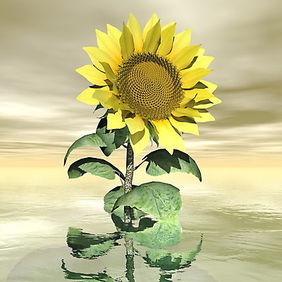 포토 JPG 해외이미지 식물 계절 꽃 백그라운드 잎 꽃무늬 일러스트 자연 해바라기 미술 사람없음 그래픽 초록색 여름 태양 노란색 3D 디지털 벚꽃 신용카드 싱글 만들기 해외202004 해외포토 자연요소 컬러 무늬 모션 문화예술 금융 디지털합성 생태계 파일형식 이미지허브