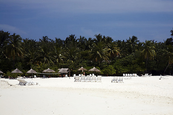 포토 JPG 해외이미지 나무 모래 바다 섬 의자 하늘 휴가 휴식 따뜻함 손바닥 사람없음 파란색 평화 뜨거움 파라다이스 해외202004 해외포토 식물 손 컬러 가구 컨셉 파일형식 이미지허브