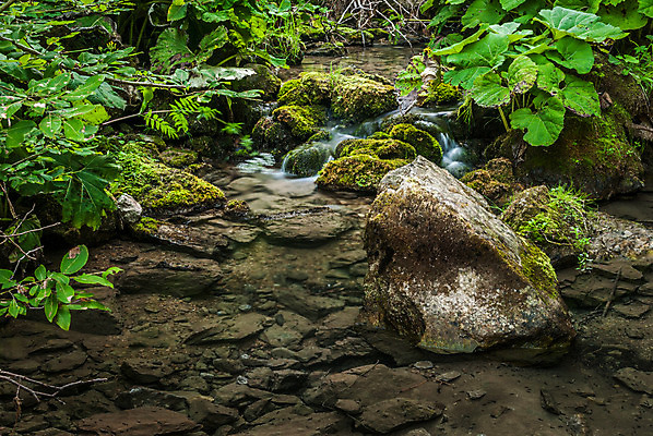 포토 JPG 해외이미지 식물 공원 야생동물 잎 자연 표면 이끼 풍경 사람없음 야외 초록색 물 여름 햇빛 갈색 평화 침묵 봄 폭포 젖음 흐름 바위 개울 급류 연기 숲 장노출 내추럴 해외202004 해외포토 자연요소 동물 계절 공공시설 컬러 컨셉 촬영기법 강 태양 소리 돌_바위 생태계 파일형식 이미지허브