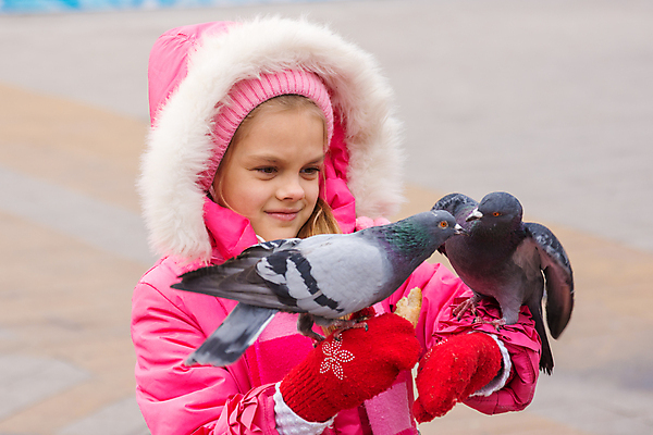 포토 JPG 해외이미지 행복 감정 유럽 도로 길 무기 어린이 분홍색 겨울 거리 종류 손바닥 미소 앉기 두명 목도리 봄 산책 재킷 가을 아기 관찰 보행자 유혹 배고픔 호기심 비둘기 정사각형 돌봄 번 수유 많음 해외202004 해외포토 도형 손 잡화 계절 나라 빵 컬러 컨셉 교통시설 모션 조류 휴식 표정 사람 외투 파일형식 이미지허브