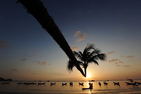 포토 JPG 해외이미지 아시아 바다 섬 태국 자연 손바닥 풍경 사람없음 야자수 동남아시아 일몰 저녁 해외202004 해외포토 나무 손 나라 노을 야간 생태계 파일형식 이미지허브