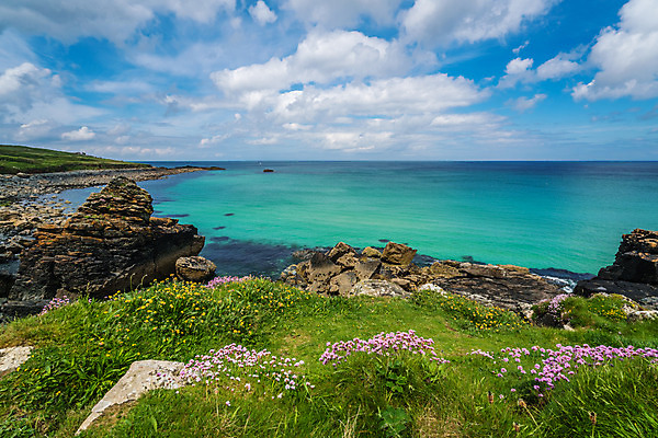 포토 JPG 해외이미지 영어 꽃 파도 바다 조류 휴가 영국 잉글랜드 파노라마 풍경 사람없음 야외 초록색 여름 모래사장 시골 보트 성자 언덕 암초 타운 왕국 울퉁불퉁 콘월 해외202004 해외포토 식물 동물 문자 계절 유럽 종교 컬러 배_교통 촬영기법 도시 파일형식 이미지허브