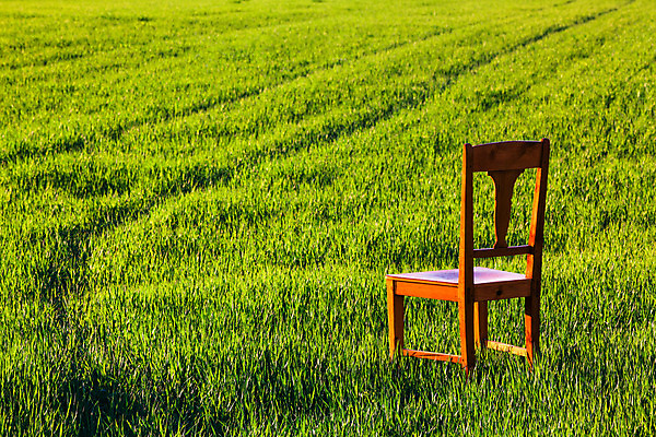 포토 JPG 해외이미지 식물 산업 밭 농업 자연 추상 휴식 옥수수 사람없음 평화 낟알 버리기 보리 해외202004 해외포토 컨셉 무늬 모션 곡류 생태계 파일형식 이미지허브