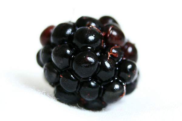 포토 JPG 해외이미지 열매 음식 백그라운드 컨셉 다이어트 과일 디저트 건강 씨앗 사람없음 여름 검은색 주스 흰색 신선 닫기 달콤 맛 이슬 잼 먹기 묘사 싱글 유기농 블랙베리 내추럴 고립 과육 숙성 해외202004 해외포토 식물 웰빙 계절 음료 컬러 모션 소스_음식 파일형식 이미지허브